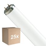 Opakowanie 25x Philips T8 Flexo print 40W | 60cm - UVA